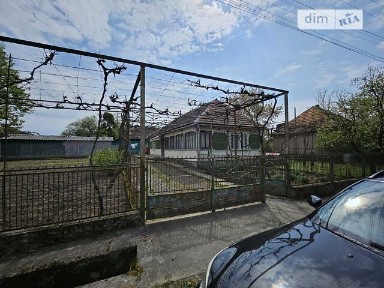 Гайдош, Центральна • ID 34198314