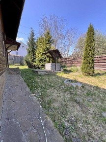 Київська область, Петрушки