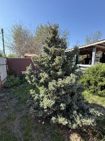 Продам пів будинку на вулиці Полтавська