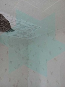 Дніпропетровська область, Дніпро, Новокодацький
