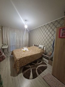 Дніпропетровська область, Кам'янське