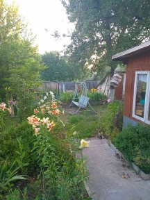 Київська область, Миколаївка