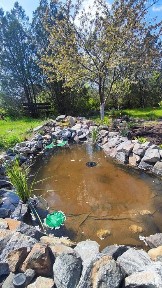 Дніпропетровська область, Дніпро, Амур-Нижньодніпровський