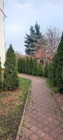 Київська область, Петропавлівська Борщагівка