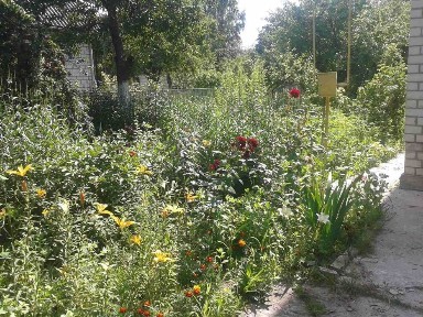 Продам дачу баришівка. Трубіж. пору.е. ектричка пішки