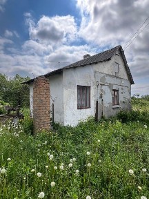 Продаж будиночку з великою ділянкою Петричі