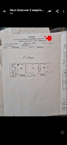 Львівська область, Львів, Франківський