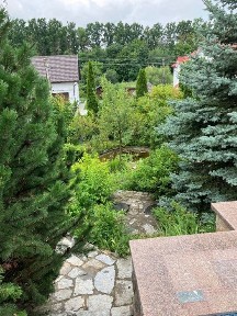 Чернівецька область, Чернівці