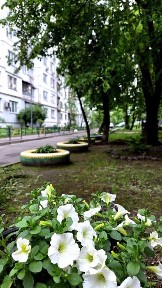 Київська область, Київ, Оболонський