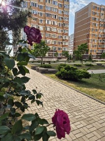 Сдам посуточно 1-но комнатную в Цветном Бульваре с 25 06