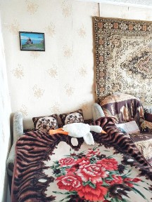 Дніпропетровська область, Кам'янське