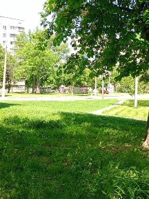 Харківська область, Харків, Салтівський