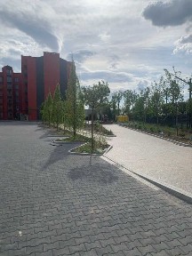 Київська область, Софіївська Борщагівка