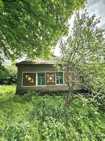 Продаж будинка село Старицьківка. Машевський район.