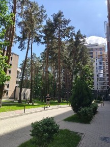 Київська область, Бровари