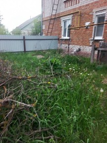 Продається 1/2 частина цегляного. будинку ( Пашини )