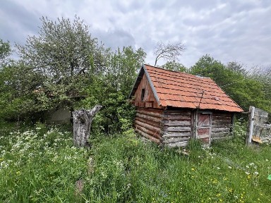 Закарпатська область, Гукливий