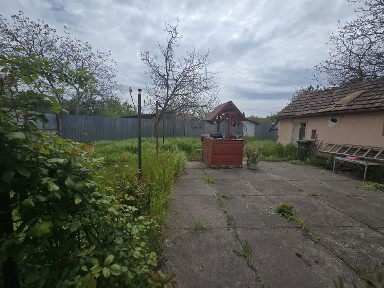 Закарпатська область, Берегове