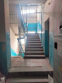 Житомирська область, Житомир, Польова