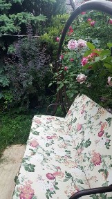 Одеська область, Одеса, Приморський