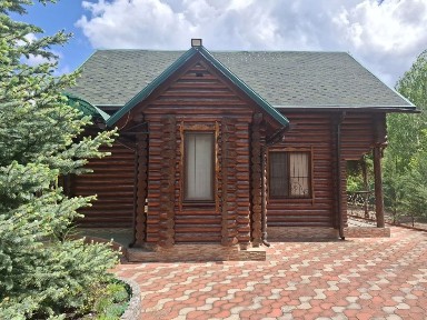 Будинок біля лісу с. Берізки Миколаївської області