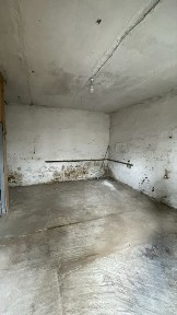 Рівненська область, Рівне