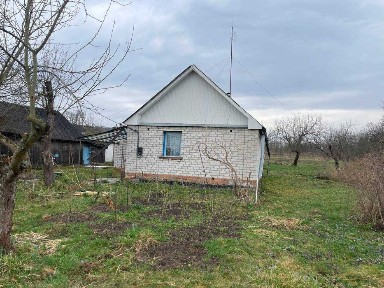 Будиночок у Пряжеві з великою ділянкою під сад та город