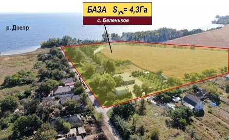 База відпочинку у с. Біленьке. Ліс.