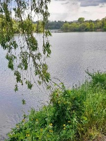 Продам дачу в Заводском районе, Ближние дачи