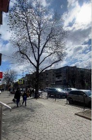 Тернопільська область, Тернопіль