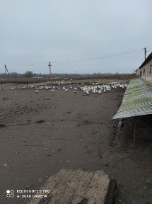 Дніпропетровська область, Солоне