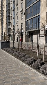 Черкаська область, Черкаси