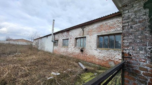 Чернігівська область, Новий Білоус