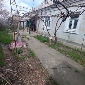 Миколаївська область, Миколаїв, Центральний