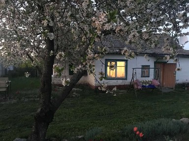 Дніпропетровська обл., Павлоградський район, с. Карабинівка