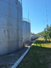 Черкаська область, Умань