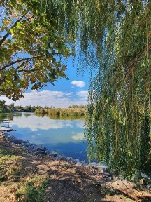 Продам дом\дачу с удобствами у реки! Подгородное, р-н ул. Жовтневая