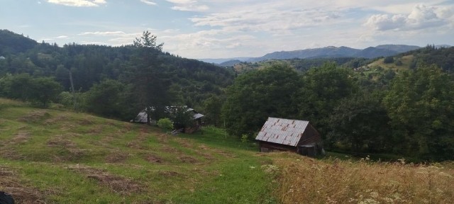 Івано-Франківська область, Старий Косів