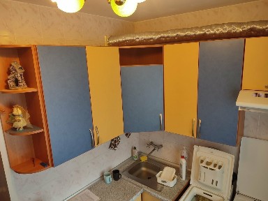 Аренда 3-комнатной квартиры 68 м², Людвига Свободы просп.