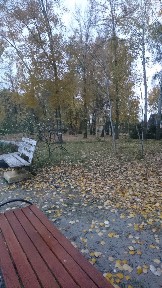 Киев, Осокорская ул.