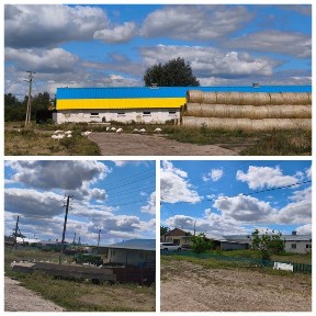 Продам действующие фермы с производством