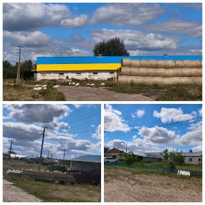 Харківська область, Димитрова