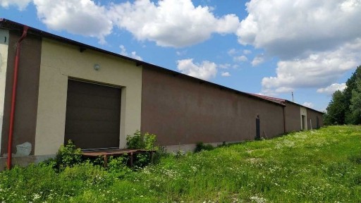 Тернопільська область, Новики