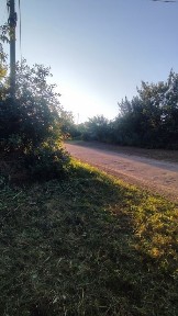 Кіровоградська область, Созонівка