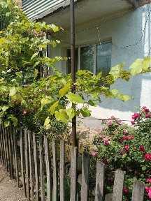 Продаж квартири 3+1 у м. Благовіщенське, Кіровоградскої обл., 58 кв. м.