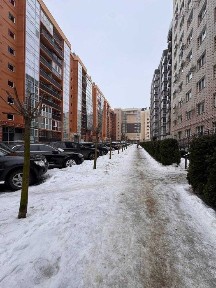 Чернівецька область, Чернівці