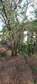 Продам пошкоджено нерухоме майно під будивництво нового об'єкту