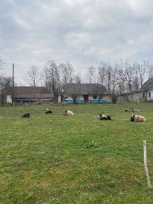 Продається будинок в Карпатах с. Банилів