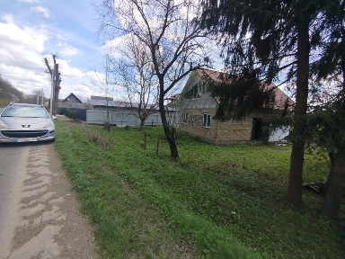 Чернівецька область, Панка