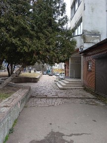 Житомирська область, Житомир, Польова